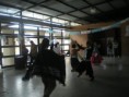 /album/fotogaleria-centro-de-actividades-juveniles-spn-/a547266-374670729261300-1353676328-n-jpg/